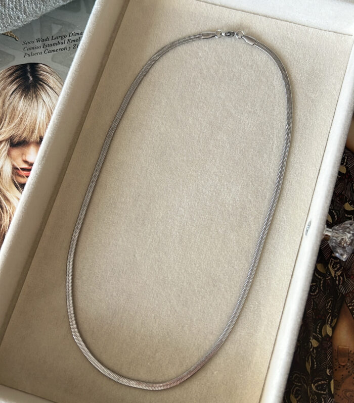 Collar Snake Silver